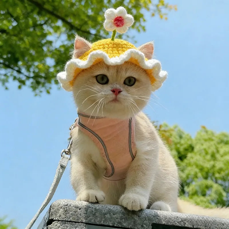 Bonnet fleur en crochet pour chat
