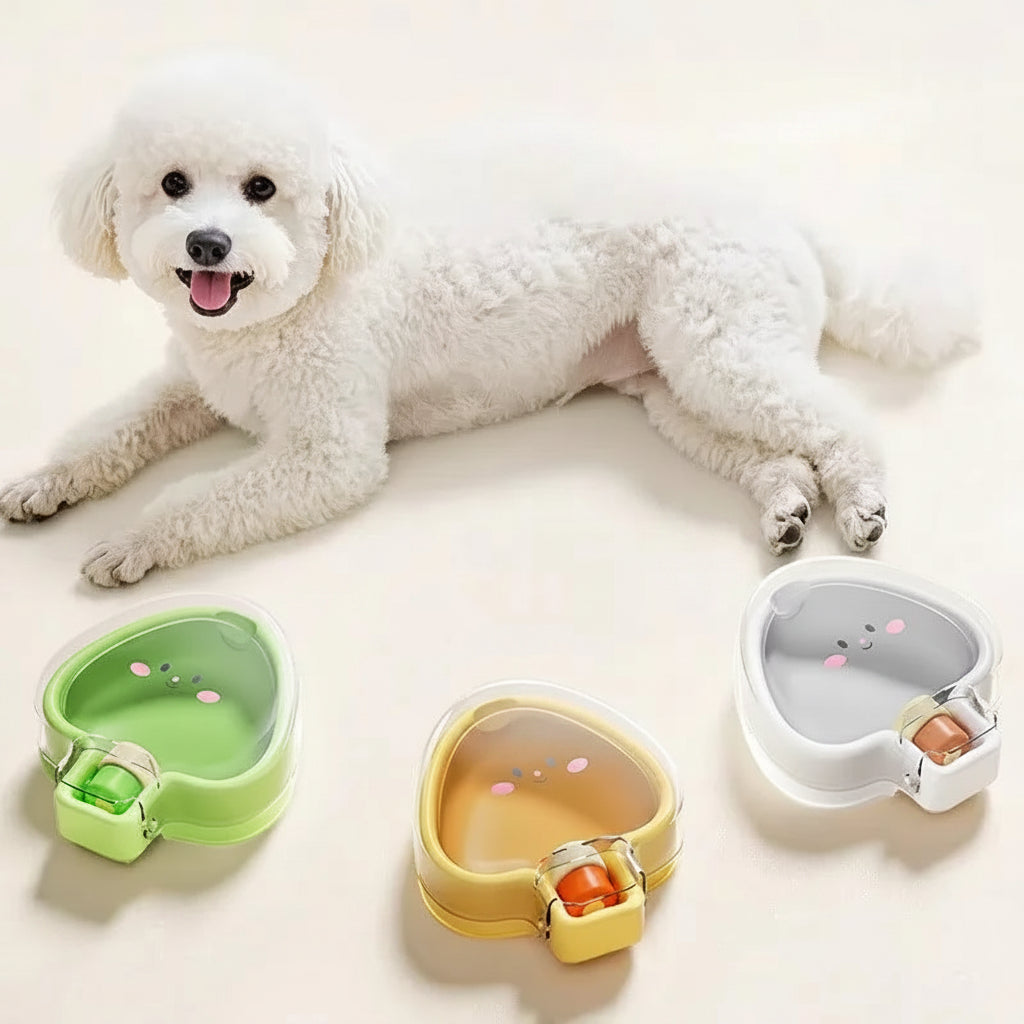 Fontaine d'extérieur pliable pour chien et chat Gourde 2-en-1