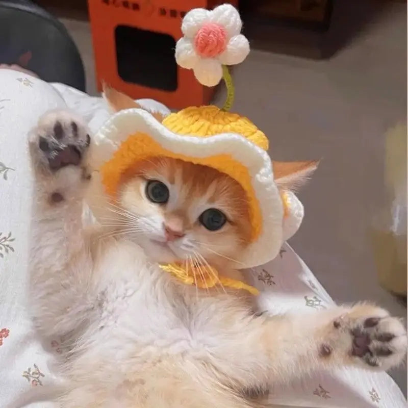 Bonnet fleur en crochet pour chat