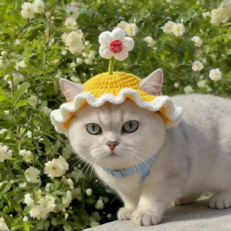 Bonnet fleur en crochet pour chat