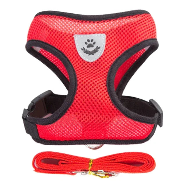 Harnais coloris rouge porté par un chiot