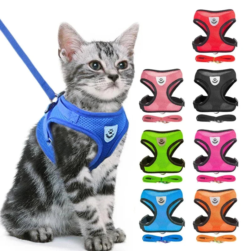 Harnais en maille avec laisse réglable pour chien et chat