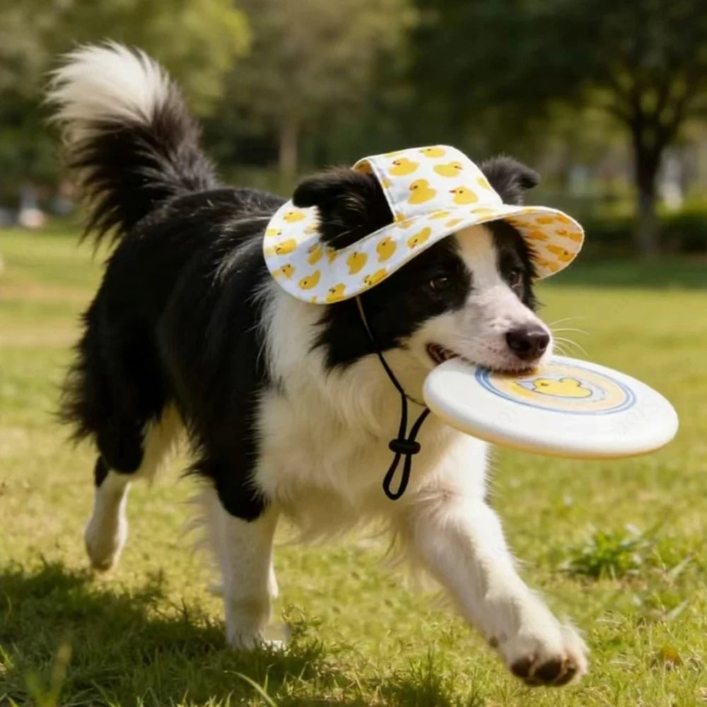 Casquette d'été pour chien, Protection soleil ajustable