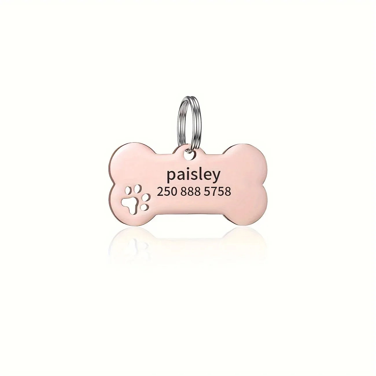 Médaille multicolore pour animal de compagnie