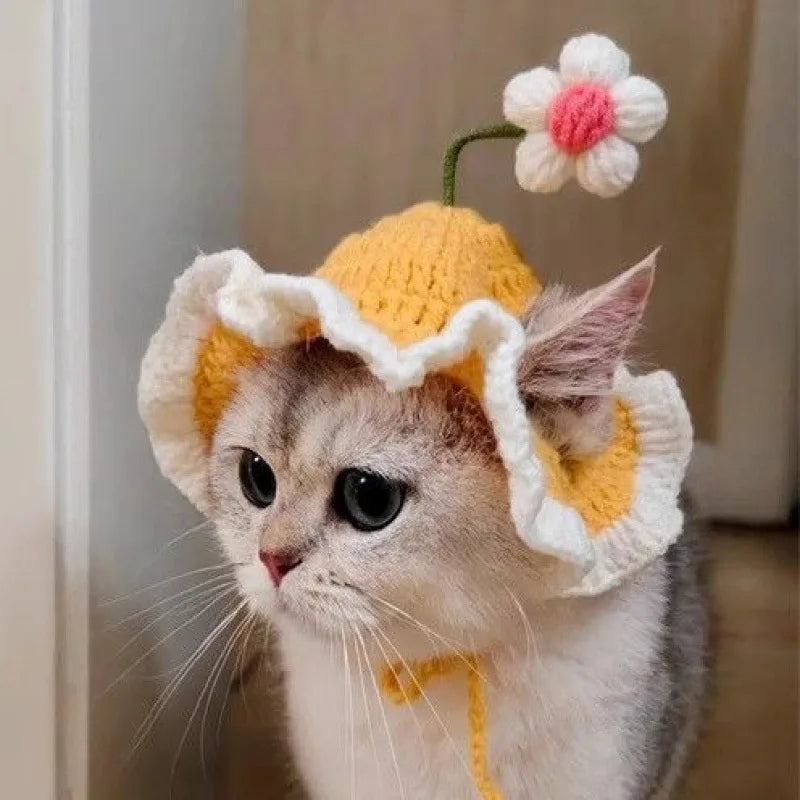Bonnet fleur en crochet pour chat