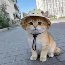 Casquette d'été pour chien, Protection soleil ajustable