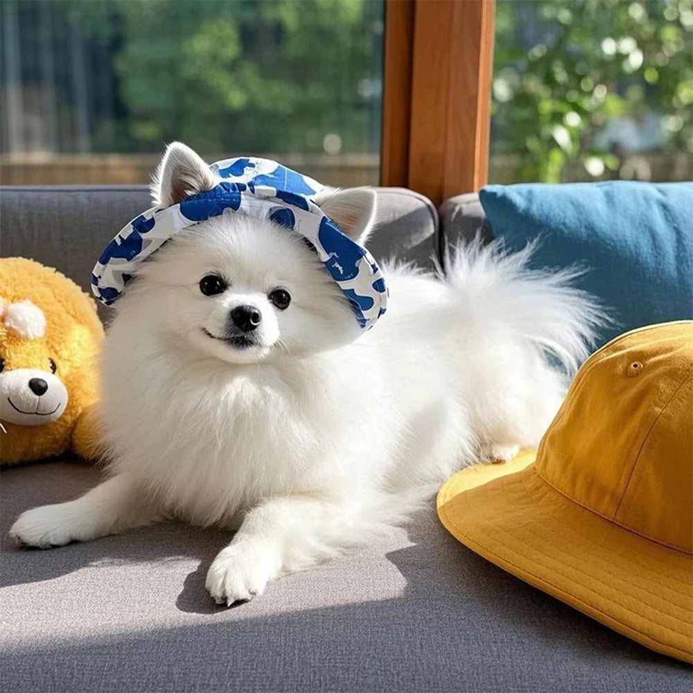 Casquette d'été pour chien, Protection soleil ajustable