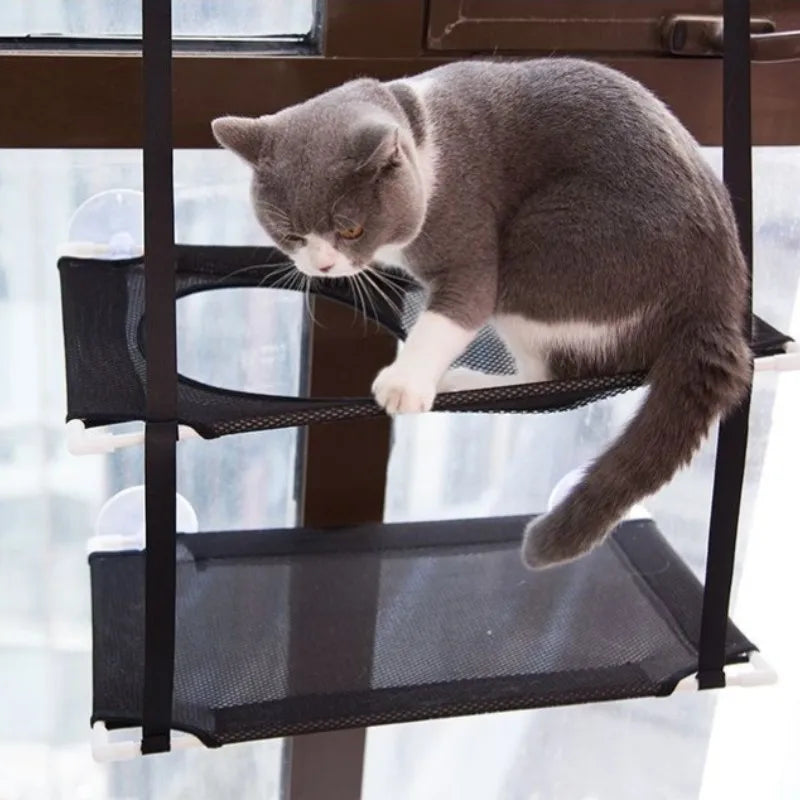 Chat installé dans son hamac de fenêtre au soleil