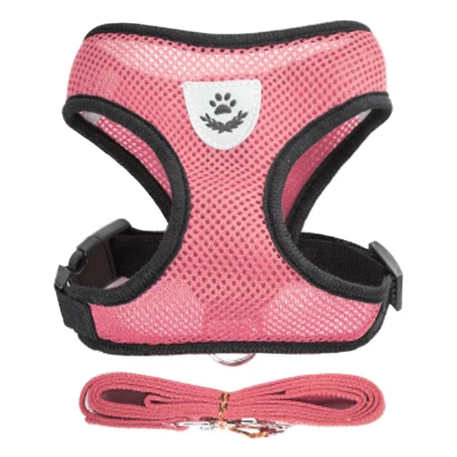 Harnais coloris vert pour petit chien