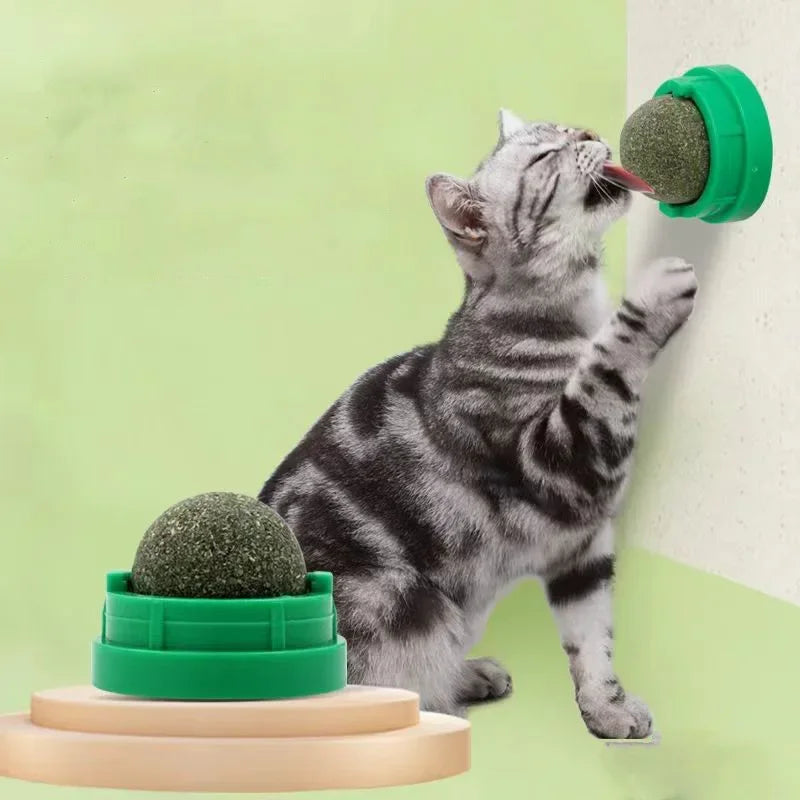Balle de catnip rose collée au mur pour chat